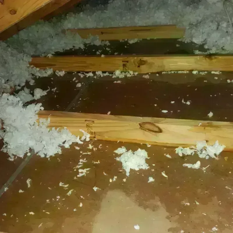 Attic Water Damage in Saint Peter, MN