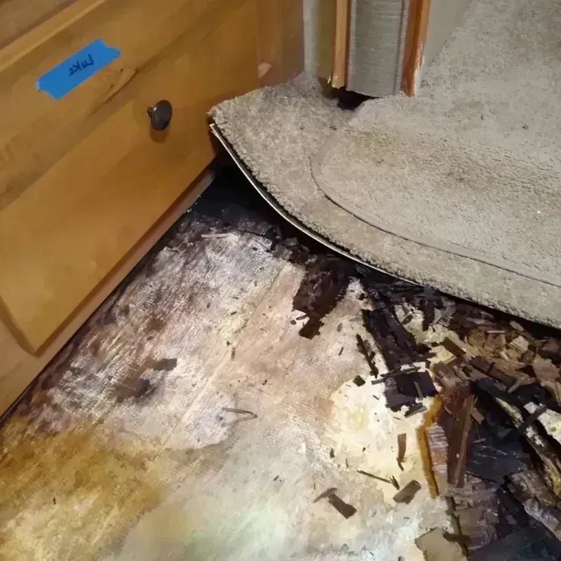 Wood Floor Water Damage in Saint Peter, MN